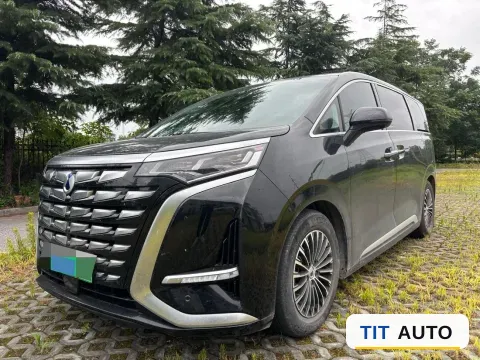 2023 Denza D9