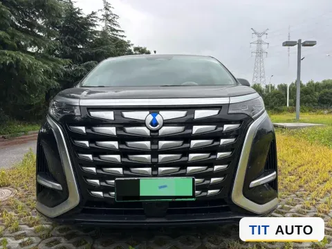 2023 Denza D9 2
