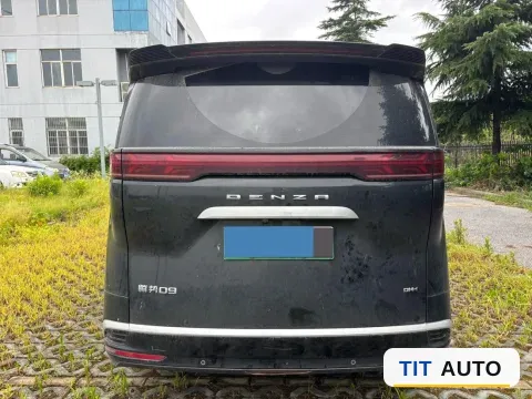 2023 Denza D9 5
