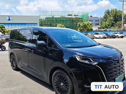 2024 Denza D9 3