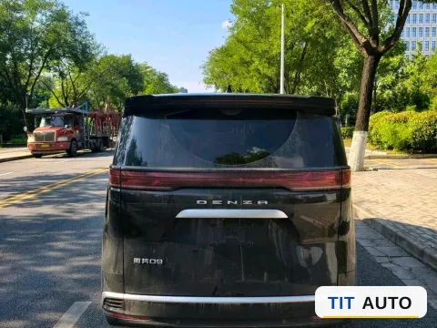 2024 Denza D9 7