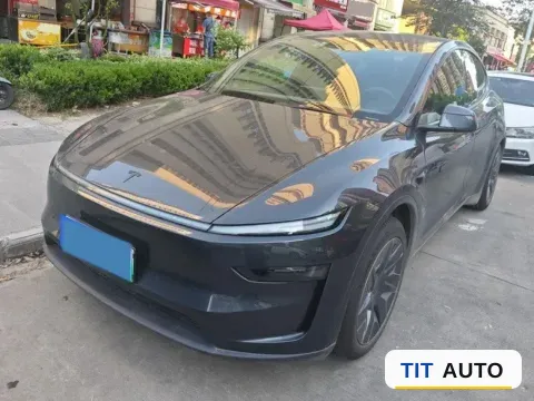 2025 Tesla Model Y L
