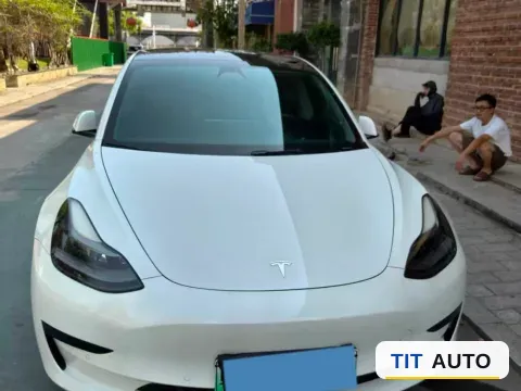 2021 Tesla Model 3 2