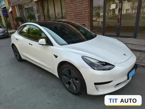 2021 Tesla Model 3 3