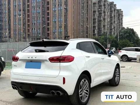 2019 WEY VV5 8