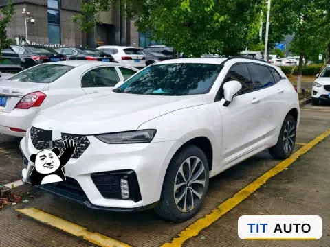 2020 WEY VV7