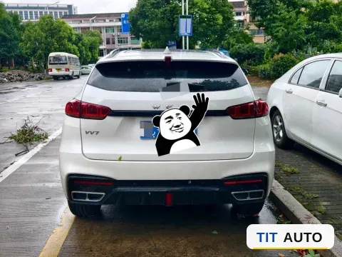 2020 WEY VV7 6