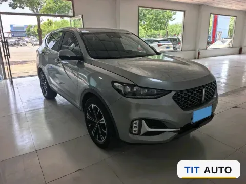 2021 WEY VV6 3