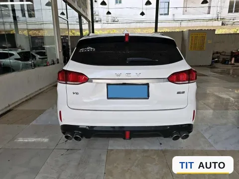 2019 WEY VV6 6