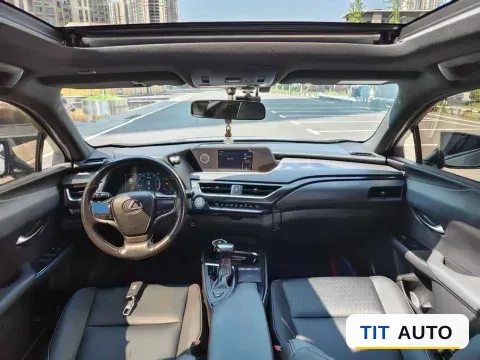 2020 Lexus UX 4