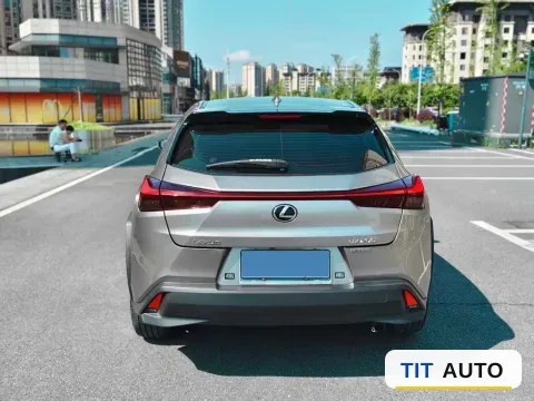 2020 Lexus UX 8