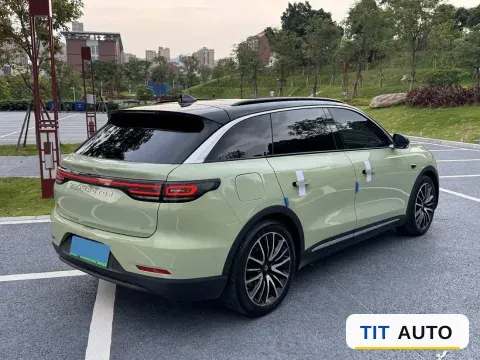 2021 Leapmotor C11 7