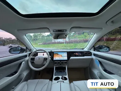 2021 Leapmotor C11 8