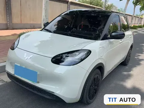 2024 WuLing BinGuo