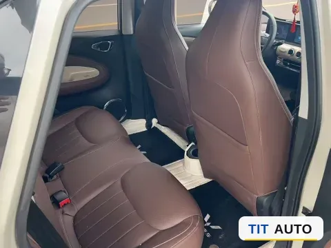 2024 WuLing BinGuo 3