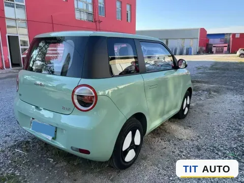 2022 Levdeo Mango 4