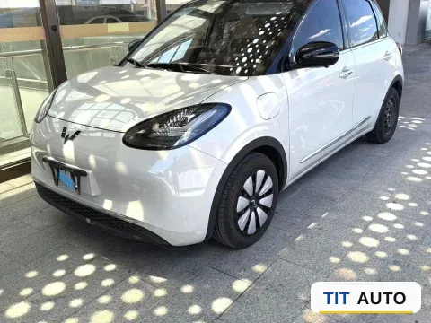 2024 WuLing BinGuo