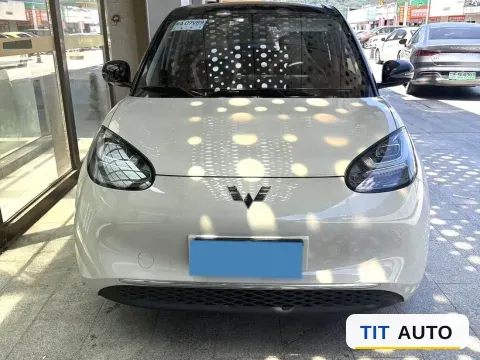 2024 WuLing BinGuo 2