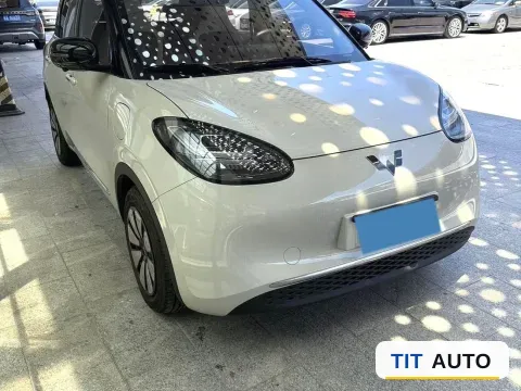 2024 WuLing BinGuo 3