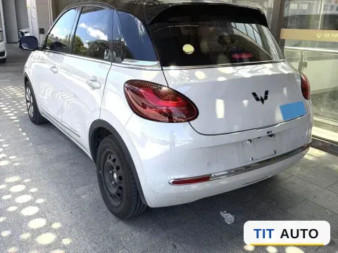 2024 WuLing BinGuo 4