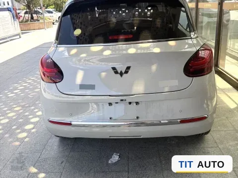 2024 WuLing BinGuo 6