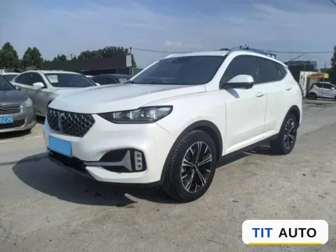 2021 WEY VV6