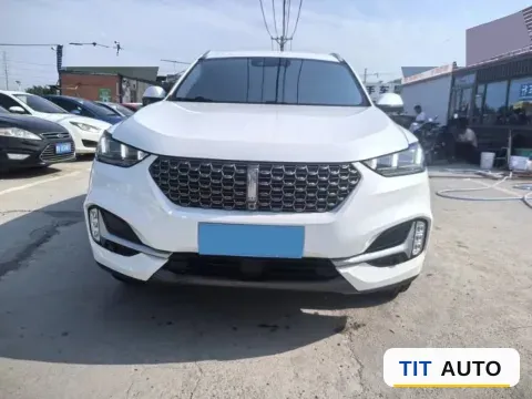 2021 WEY VV6 2