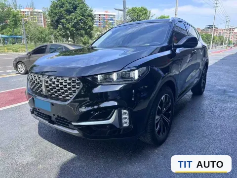 2021 WEY VV6