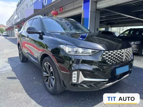 2021 WEY VV6 3
