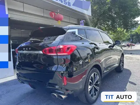 2021 WEY VV6 7