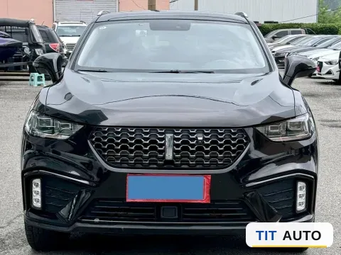 2020 WEY VV5 2