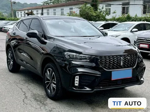 2020 WEY VV5 3
