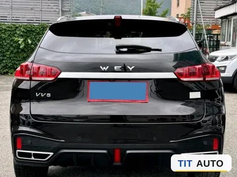 2020 WEY VV5 6
