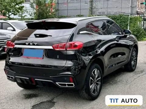 2020 WEY VV5 7