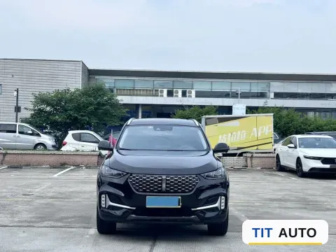 2021 WEY VV6 2