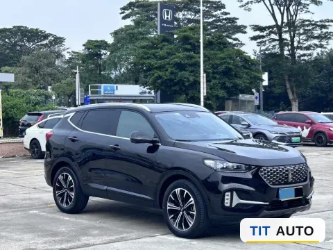 2021 WEY VV6 3