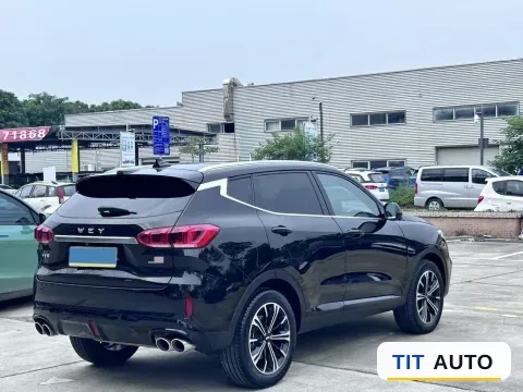 2021 WEY VV6 8