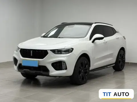 2019 WEY VV5