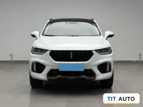2019 WEY VV5 2