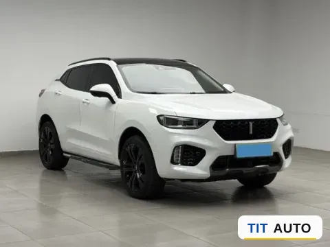2019 WEY VV5 3