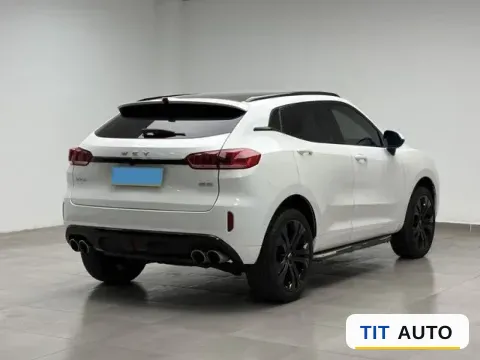 2019 WEY VV5 7