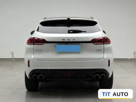 2019 WEY VV5 8
