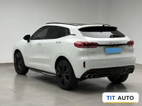 2019 WEY VV5 9