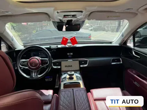 2021 HongQi E-HS9 5