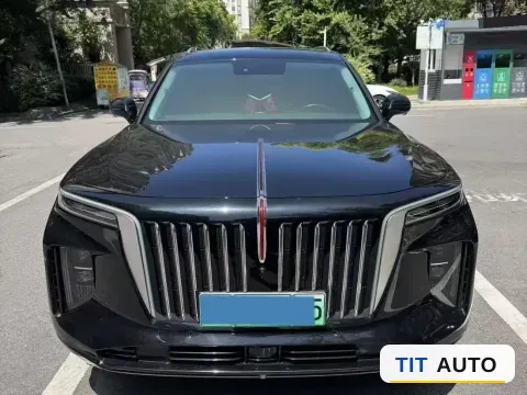 2021 HongQi E-HS9 6