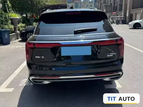 2021 HongQi E-HS9 7