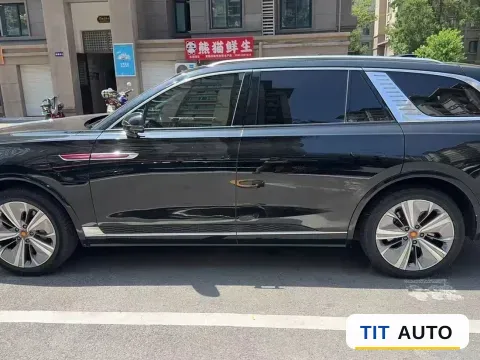 2021 HongQi E-HS9 8