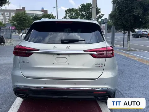 2019 HongQi HS5 8