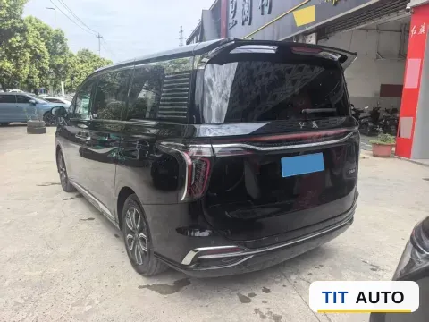 2023 HongQi HQ9 5