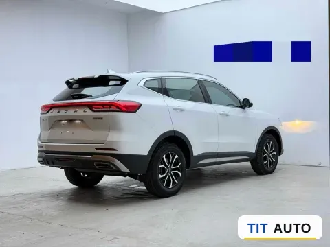 2021 Haval H6 15
